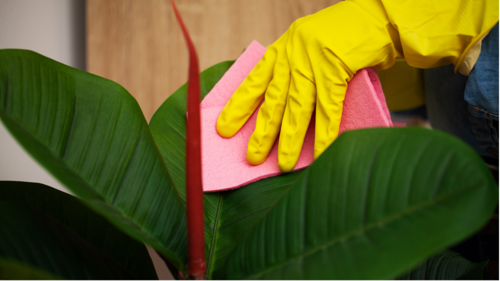 How To Pick The Right Commercial Cleaning Service in Olathe MC