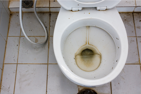 Commercial Cleaning Service In Overland Park Talks Nasty Toilets